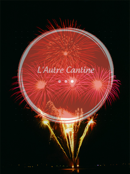 night, fireworks and sky, text that says 'L'Autre Cantine'
